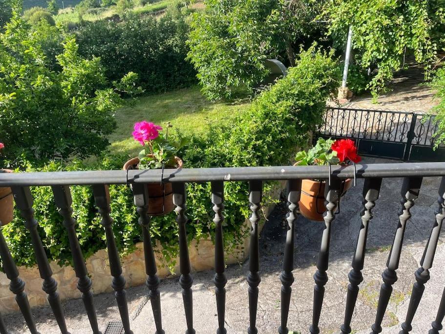 Casa A Boga Ribeira Sacra Villa Abeleda Kültér fotó