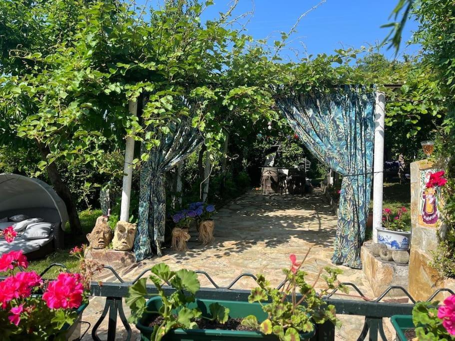 Casa A Boga Ribeira Sacra Villa Abeleda Kültér fotó
